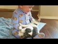 Understanding Cats and Relationships
