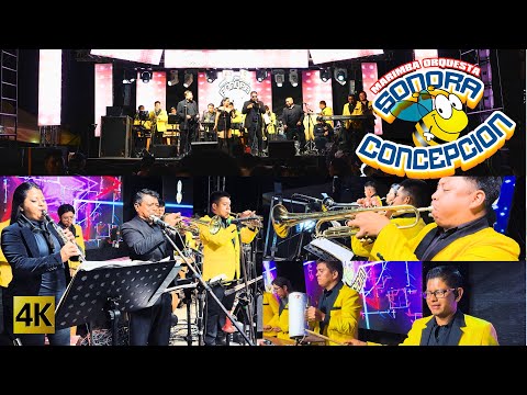 Marimba Orquesta Sonora Concepcion  -  A Toda Potencia 4K