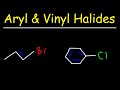 Understanding Reactions of Vinyl and Aryl Halides