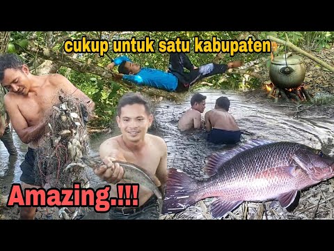 AMAZING‼️IKAN SEBANYAK INI SANGAT MUDAH DI DAPATKAN SAAT MUSIM KEMARAU