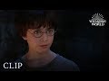 Harry Potter: Gringotts and Identity