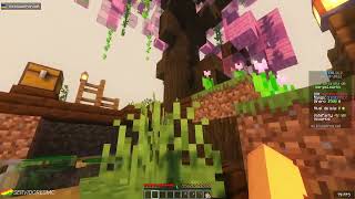 Servidor de Minecraft Bluestrom. Skyblock 🏝️ con islas y Survival con Jobs 🔨