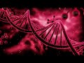 DNA Replication Concepts and Processes