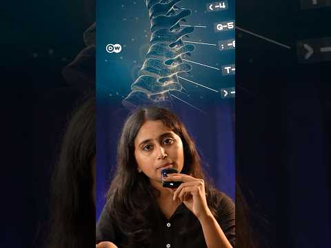 ”Back Pain இருந்தா வீட்டு வேலை செய்யணும்” - தவறான Myths என்னென்ன? உண்மையை சொல்லும் Physiotherapists