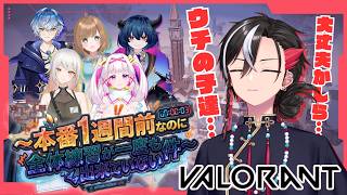 【VALORANT】初心者カスタム🔰本番1週間前なのに、俺のチームは全体練習が一度も出来ていない件