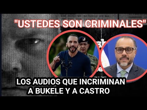 LOS AUDIOS DE ALEJANDRO MUYSHOUNDT QUE HUNDEN A NAYB BUKELE Y CASTRO!