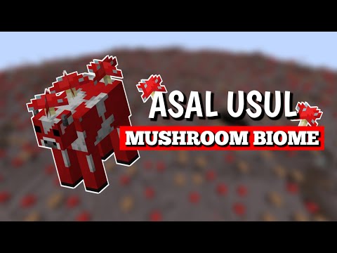 Asal Usul Mushroom Biome