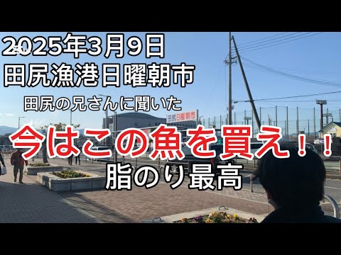 【泉佐野青空市場】娘(りん坊)の最新情報、暴露