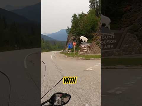 Leaving Jasper National Park