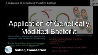 Application of Genetically Modified Bacteria