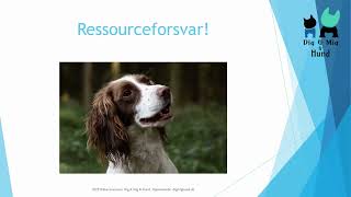 Ressourceforsvar hos hunde