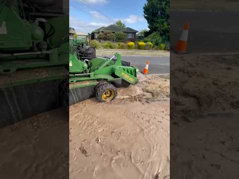 Stump Grinding #shorts #stumpgrinder #youtubeshorts #treecutting