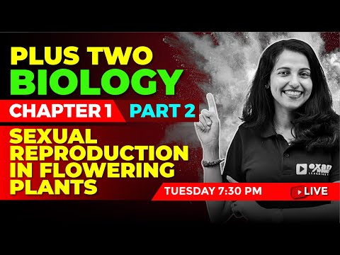 PLUS TWO BASIC BIOLOGY | CHAPTER 1 PART 2 | Sexual Reproduction in Flowering Plants | EXAM WINNER