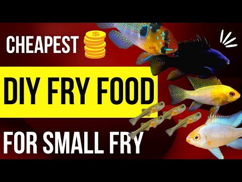 CHEAPEST and BEST DIY Fry Food!!! Hey everyone!!

Hope you are all well.

This video is very highly requested and so here it is!!!

Th