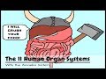 Exploring the 11 Human Organ Systems