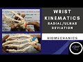 Wrist Motion and Surgery Concepts