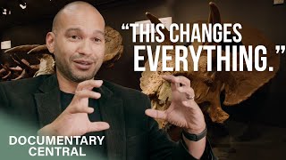 This Triceratops Skull Reveals the last Prehistoric Battle before Dinosaurs Vanished
