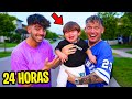 Cuidando a Zeus y Ares por 24 horas