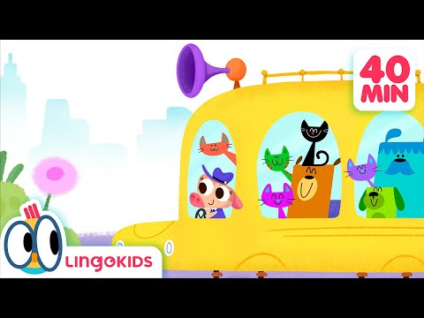 The WHEELS on the BUS 🚌🛞 + More FUN Songs for Kids | Lingokids