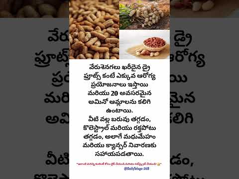 👉 వేరుశెనగల అద్భుత రహస్యాలు! డ్రై ఫ్రూట్స్ కంటే 10 రెట్లు ఆరోగ్య ప్రయోజనాలు