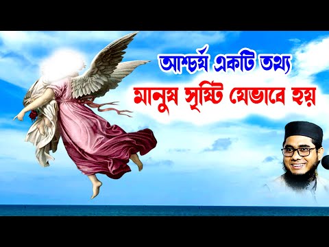 আশ্চর্য একটি তথ্য মানুষ সৃষ্টি যেভাবে হয় মুফতি শাহিদুর রহমান মাহমুদাবাদী ওয়াজ bd waz ulama tv