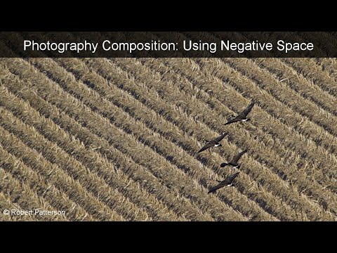 Using Negative Space in Photography