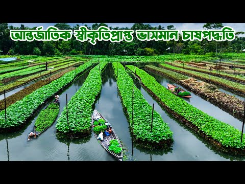 আন্তর্জাতিক স্বীকৃতিপ্রাপ্ত বরিশালের ধাপভিত্তিক ভাসমান চাষ পদ্ধতি || Panorama Documentary