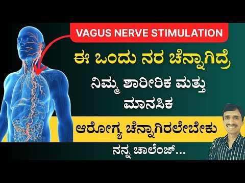ಈ ಒಂದು ನರ ಚೆನ್ನಾಗಿದ್ದರೆ ಎಂಥಾ ರೋಗವೂ ವಾಸಿಯಾಗಬೇಕು | ಎಲ್ಲಾ ಅಂಗಗಳಿಗೂ ಆರೋಗ್ಯ | Vagus Nerve Stimulation