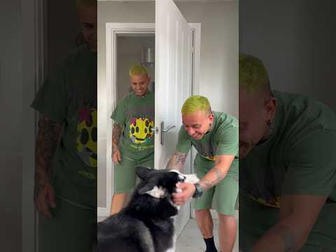 Nico is a smart puppy ๐ถ๐ค๐พ #puppy #dog #twins #neffatibrothers