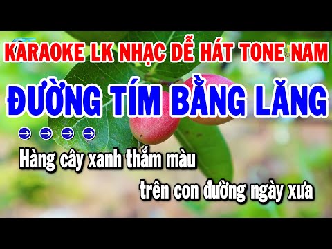 Karaoke Liên Khúc Nhạc Sống Trữ Tình Tone Nam Dễ Hát | Đường Tím Bằng Lăng – Duyên Phận | Thanh Hải