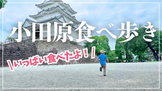 【㊗️3周年！】息子と小田原デートしました💓