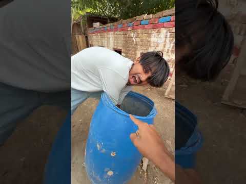 Colourfull chick is trying to be saved