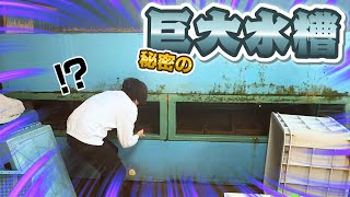 みなさんにだまってた事があります。