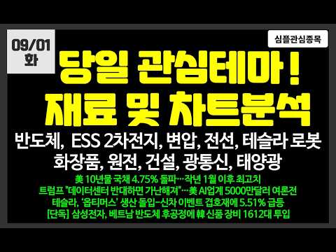 반도체,화장품,변압전선,ESS,테슬라로봇/삼성전자,SK하이닉스,삼성SDI,삼성전기,엘앤에프,한라캐스트,클로봇,<strong>심텍</strong>,로보티즈,금호전기,아이티센글로벌,가온전선,에이피알