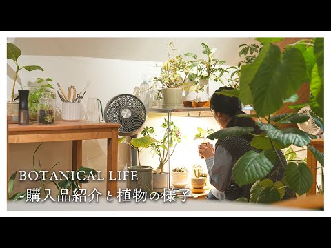 楽しみを見つけました...最近の購入品と植物のその後の様子｜Onitsuka Tiger｜SOWBOW｜GRⅢ