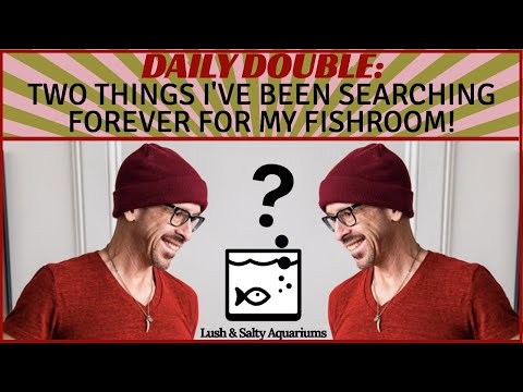 Fishroom News (Rare Nano Fish + Awesome Aquarium H Feast your eyes on these super rare and beautiful Tucano Tetras + what might be the best nano aquari