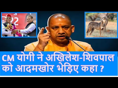 CM Yogi ने Akhilesh Yadav- Shivpal Yadav की आदमखोर भेड़िए से की तुलना ?|Top News|