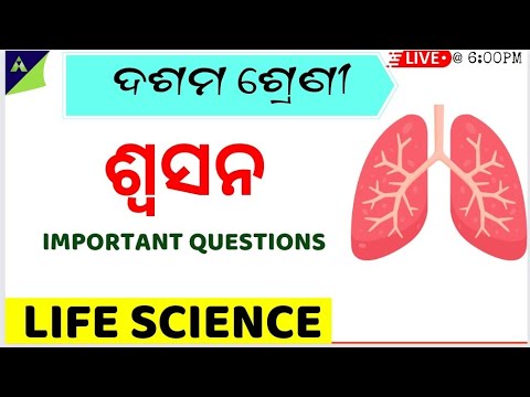 Respiration(ଶ୍ୱସନ) 10th class life science chapter-2 in odia |10th lifescience in odia| EXERCISE