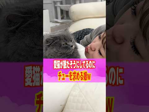 愛猫が眠たそうにしてるのにチューを求める娘www