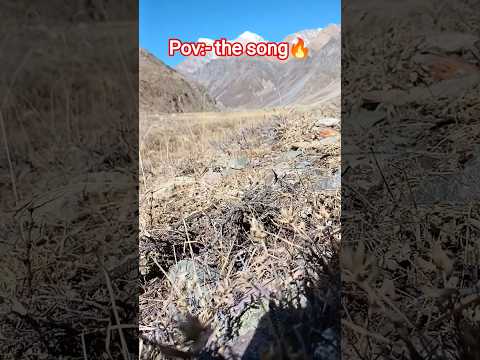 Meesaala Pilla🥀Mega Mass vibe!🔥Chiranjeevi and Nayanthara❤️#trendingshorts