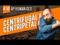 Centripetal and Centrifugal Forces in Politics