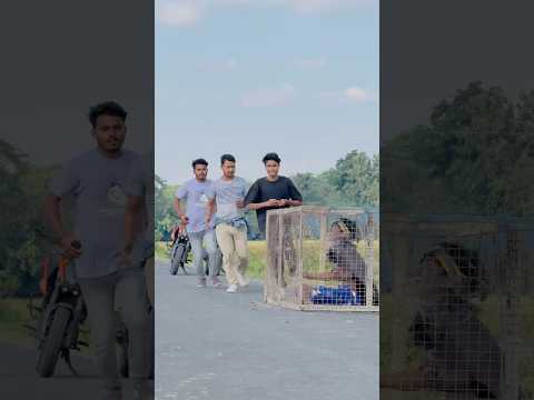 Ashur Ko Bacha Liya ❤️ #ytshots #shortvideos #tranding 🔥