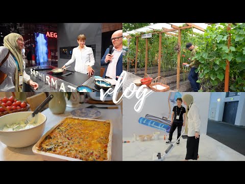 Neuste Haushaltsgeräte auf der IFA | Unsere Tomatenernte & deftiger Kartoffelkuchen | VLOG