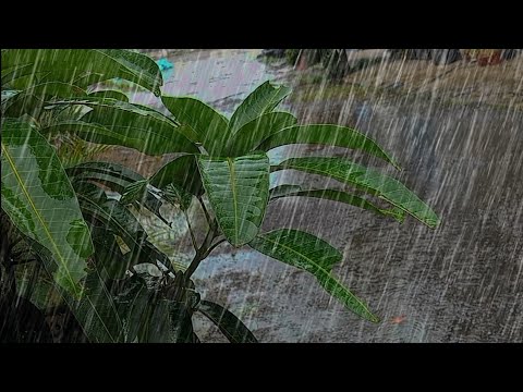 Rain sounds for sleeping cozy🌧️ Sleep fast and End Insomnia - Relaxing rain sounds - ASMR rain sound