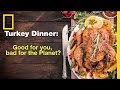 Turkey Feast Facts and Nutritional Insights