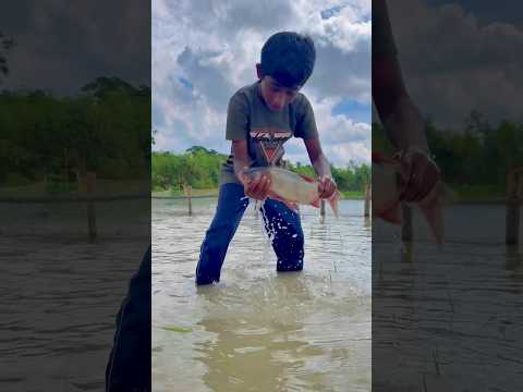 আল্লাহ আমাকে মাছ দিল #islam #islamic #tiktok #shorts #short #viralvideo