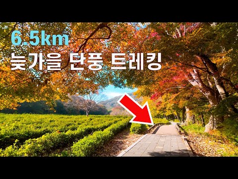 늦가을 단풍이 아름다운  코리아 둘레길/서해랑길 42코스