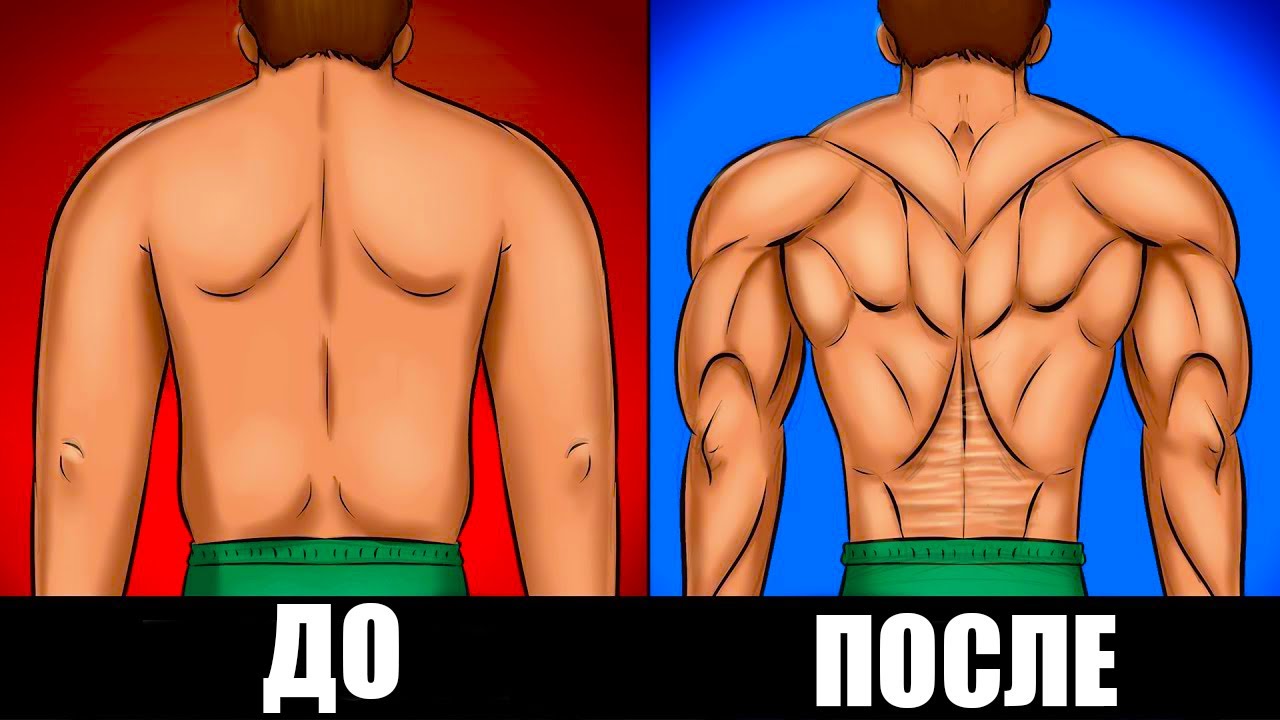 7 Лучших Упражнений на Укрепление Поясницы
