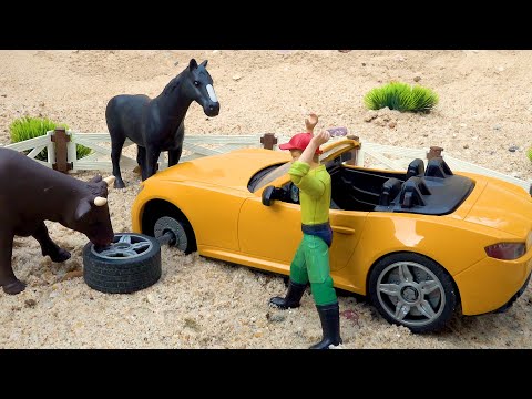 Horses and police cars help cars with fallen wheel | BIBO STUDIO