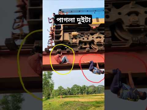 পাগলামি একটা লিমিট থাকা দরকার #funny #shortsfeed #funny #laugh #yt #ytshorts